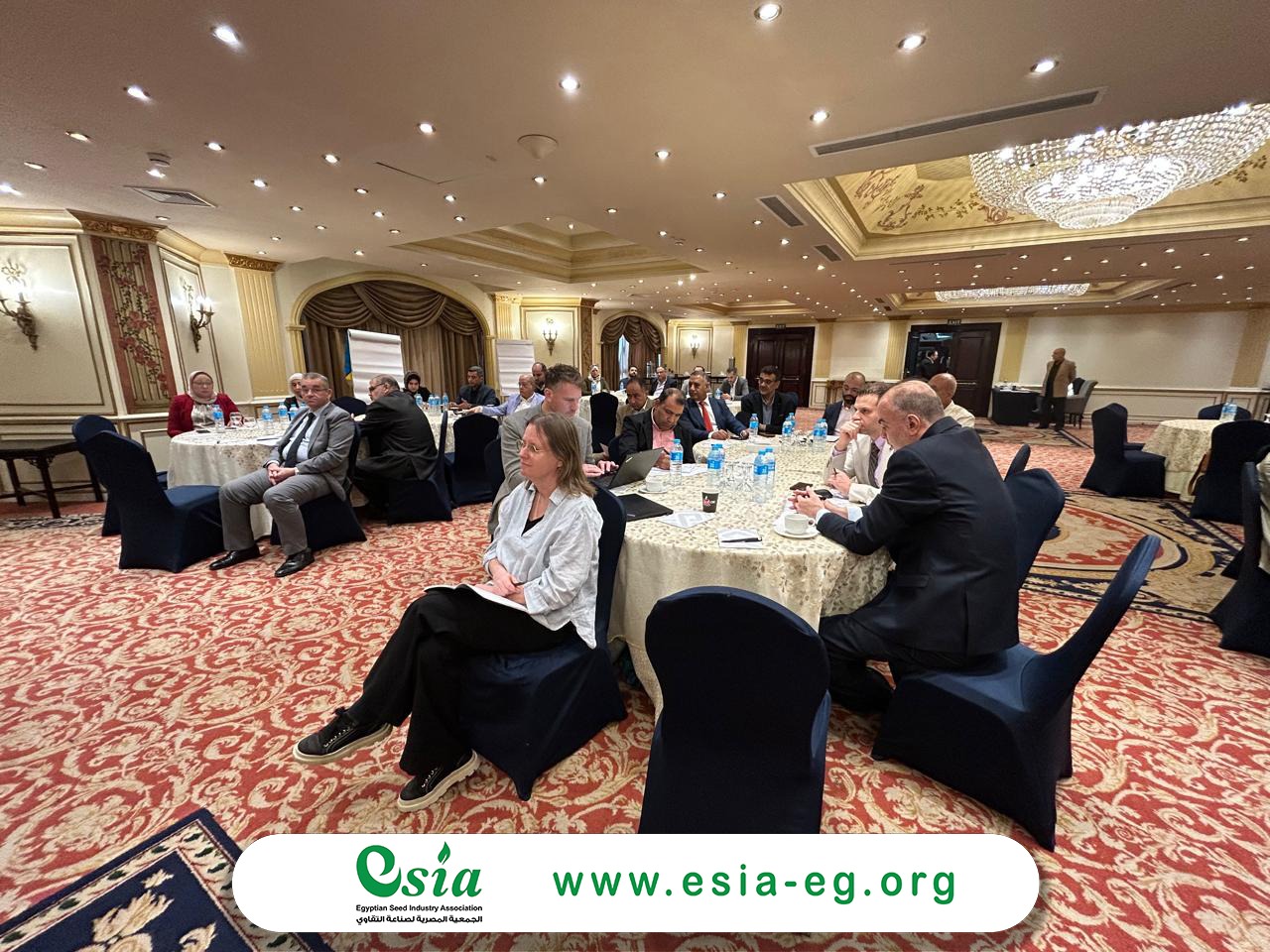 WhatsApp Image 2025-12-07 at 1.58.44 PM