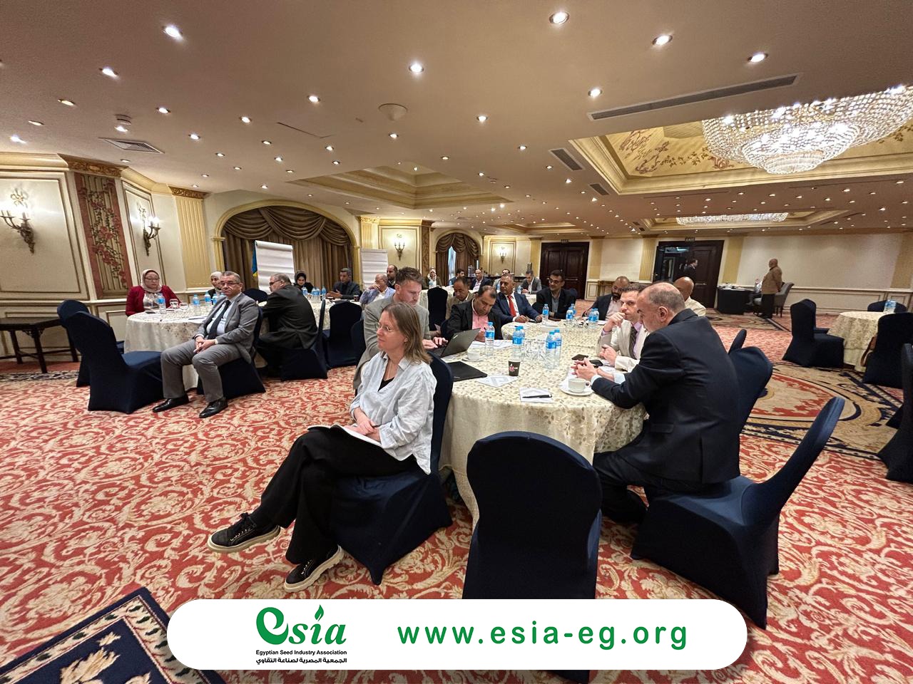 WhatsApp Image 2025-12-07 at 1.58.45 PM